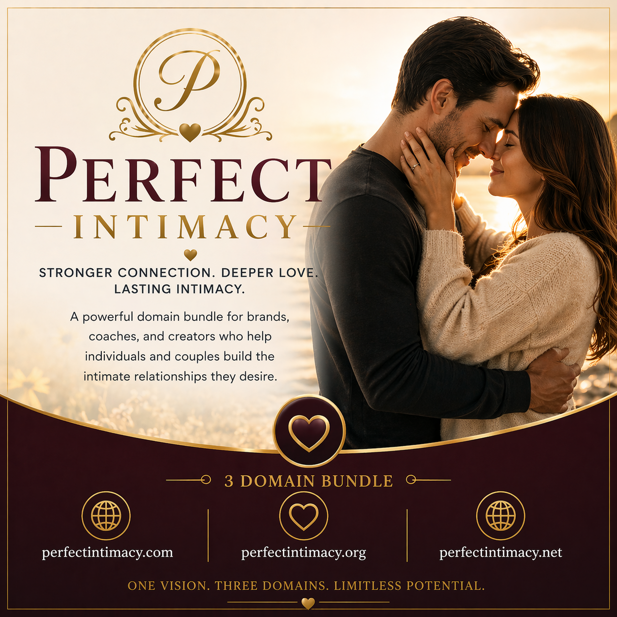 perfectintimacy.com, perfectintimacy.org, & perfectintimacy.net (Bundle)