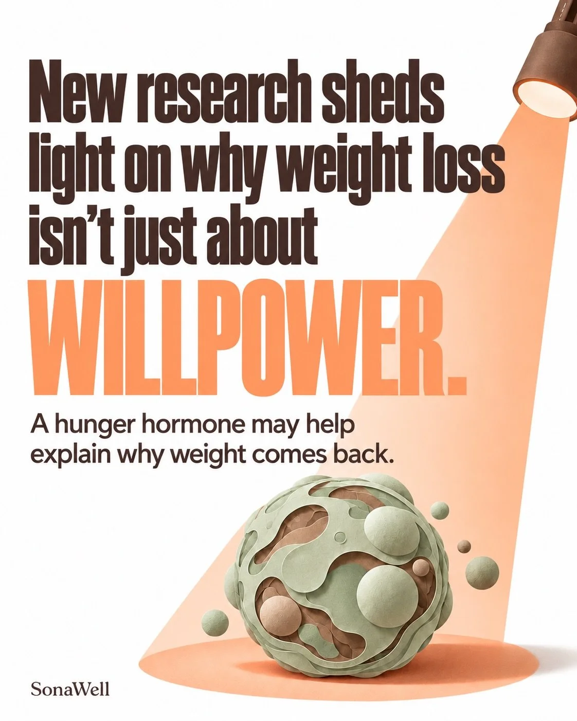 &ldquo;Just use more willpower&rdquo; overlooks the biology of weight loss. 🧠

New research suggests fat cells may retain a &ldquo;memory&rdquo; of obesity that keeps a hunger hormone called asprosin elevated, even after weight loss.

In mice, that 