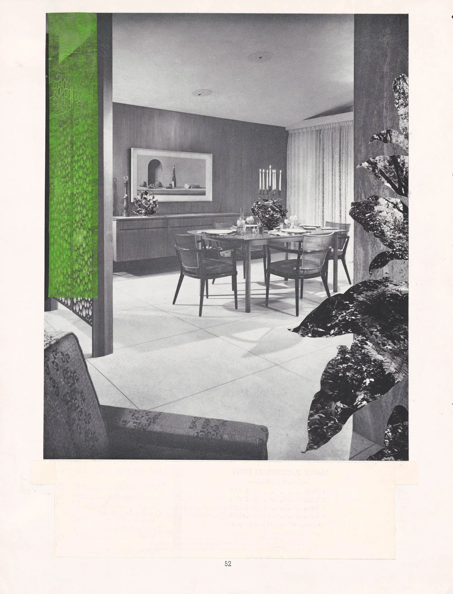 Indoor Plants iv, Collage on paper, 2020 by Erik Parra