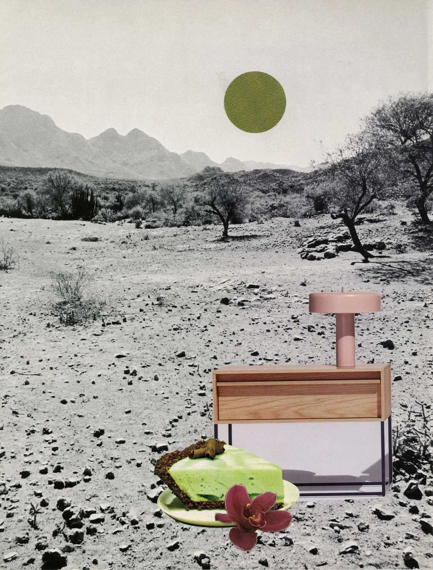 Just Deserts 2, Collage on paper, 2024 by Erik Parra