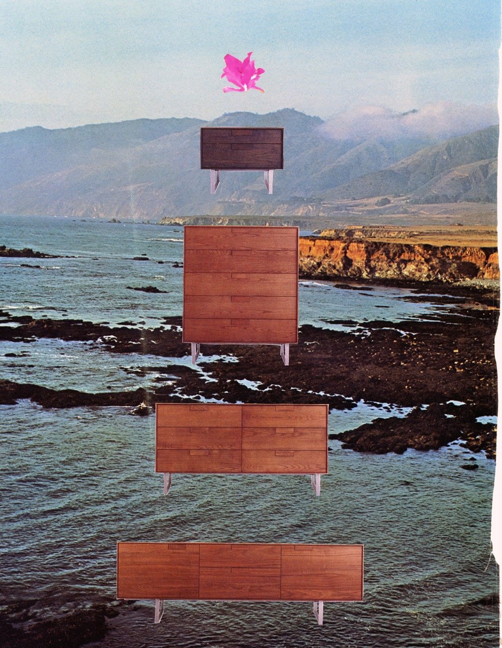 Tree, Collage on paper, 2024 by Erik Parra