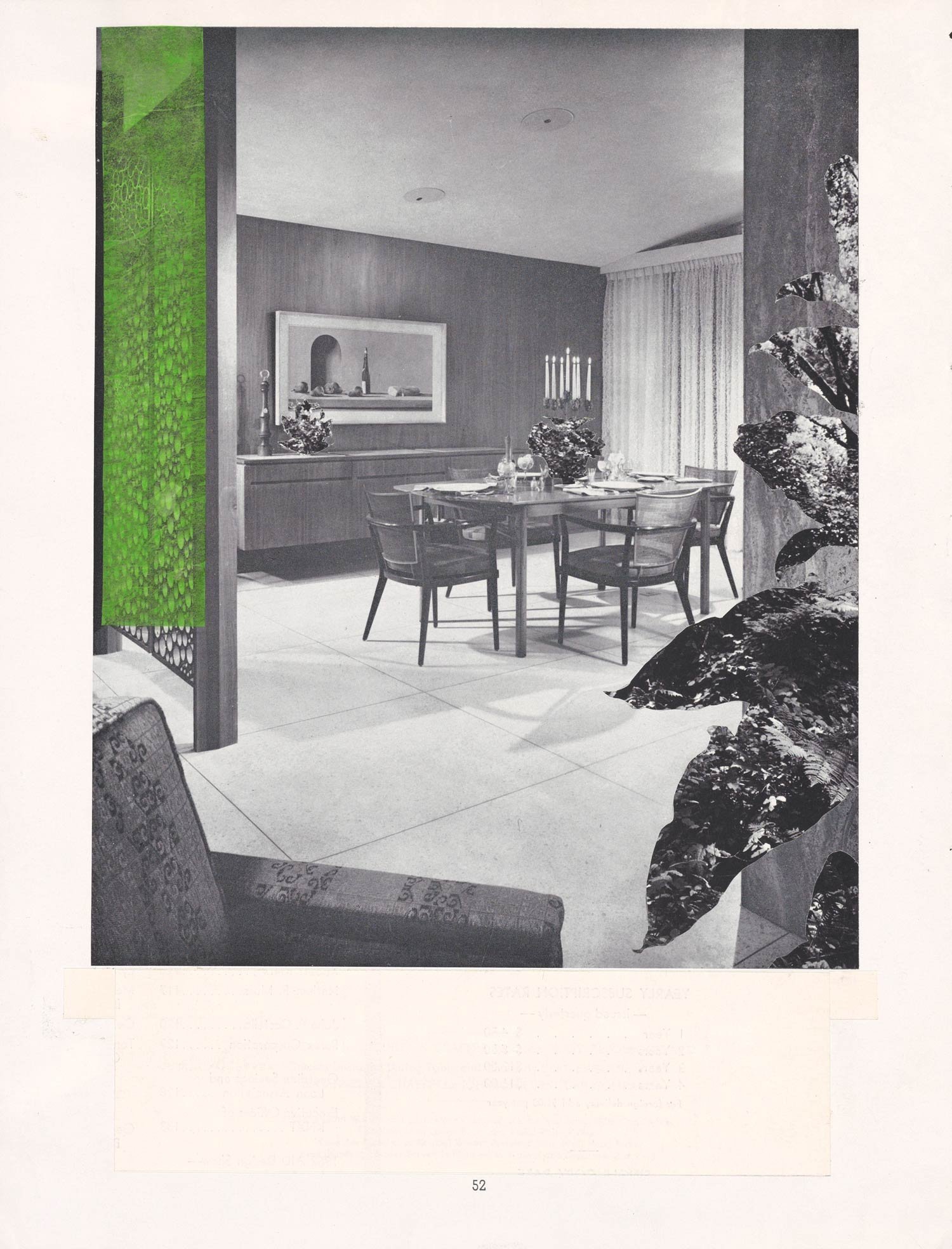 Indoor Plants iv