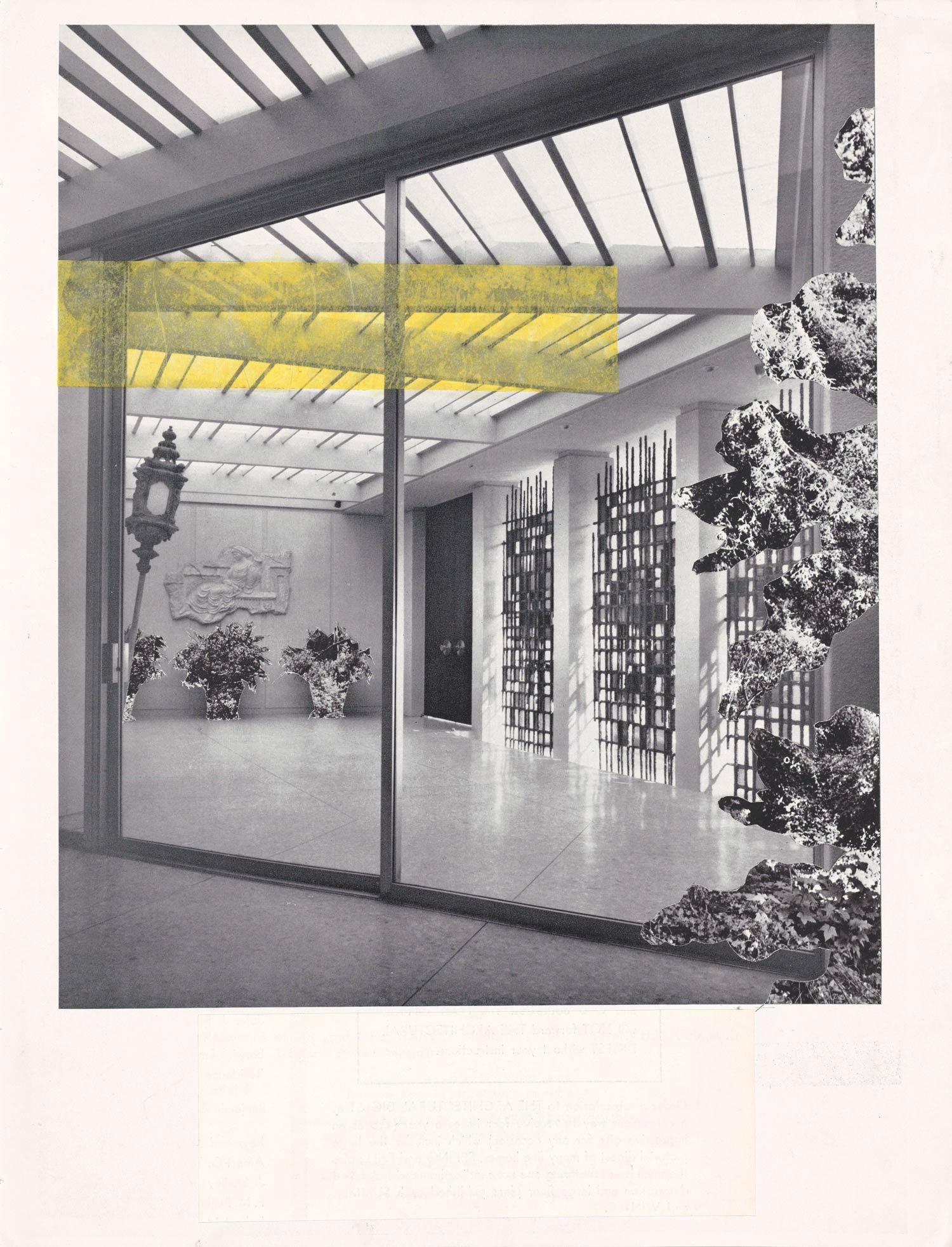 Indoor Plants vi