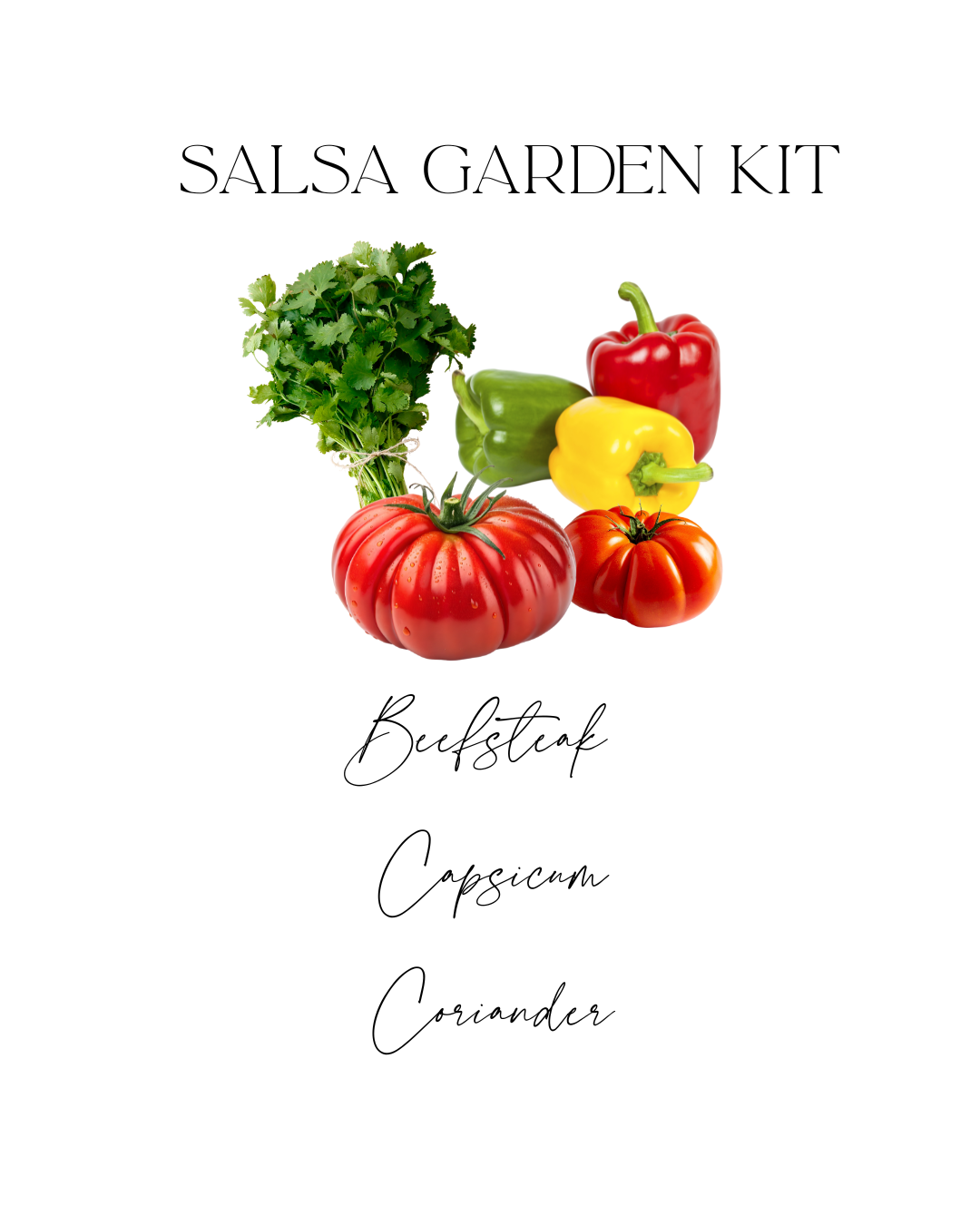 Salsa Garden Kit