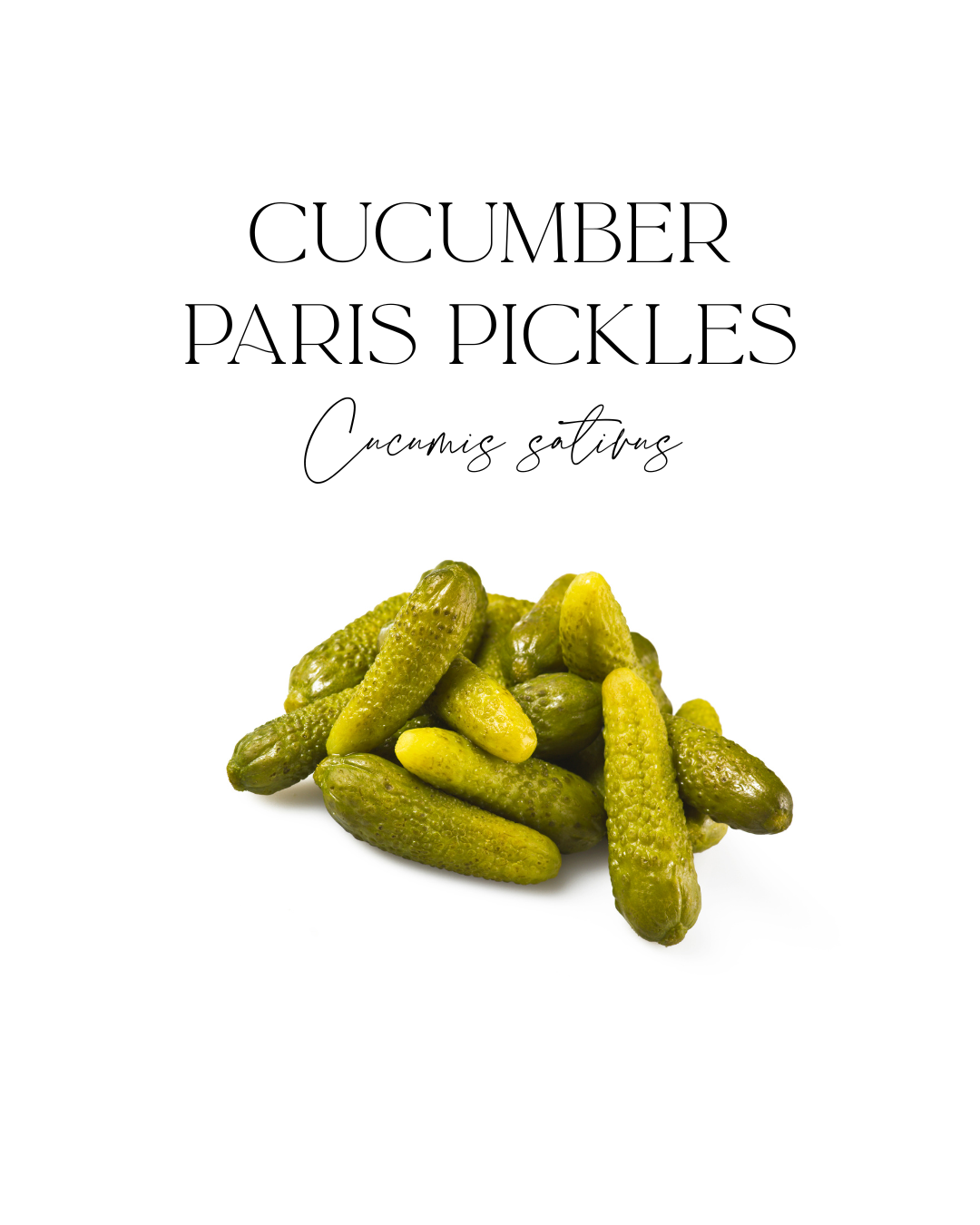 Cucumber Paris Pickles