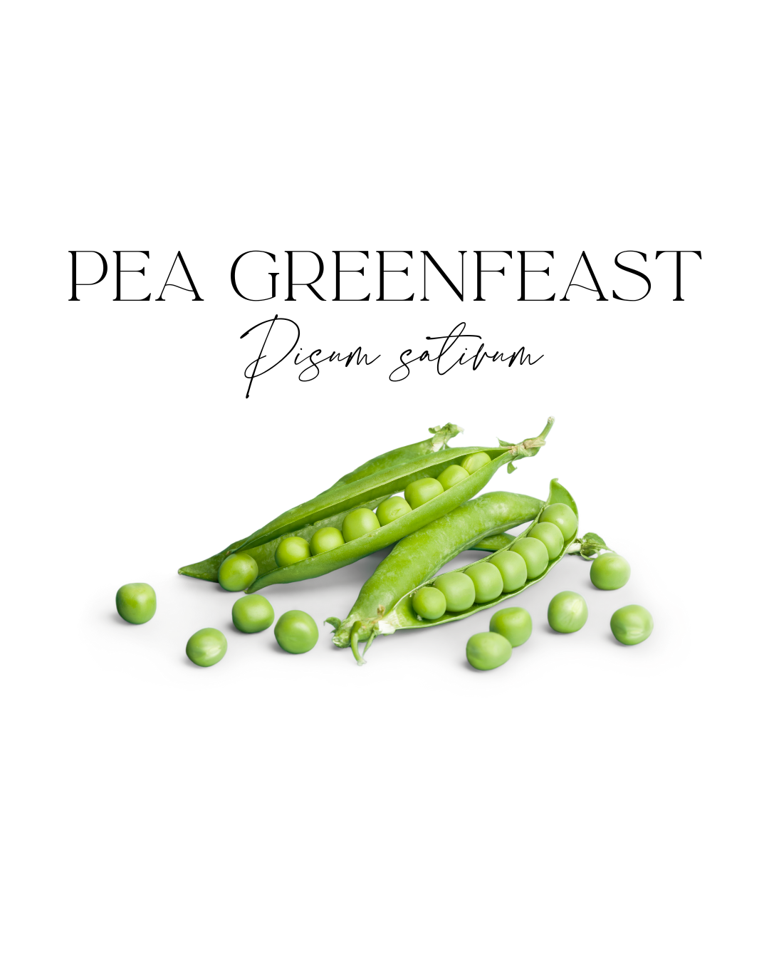 Pea Greenfeast