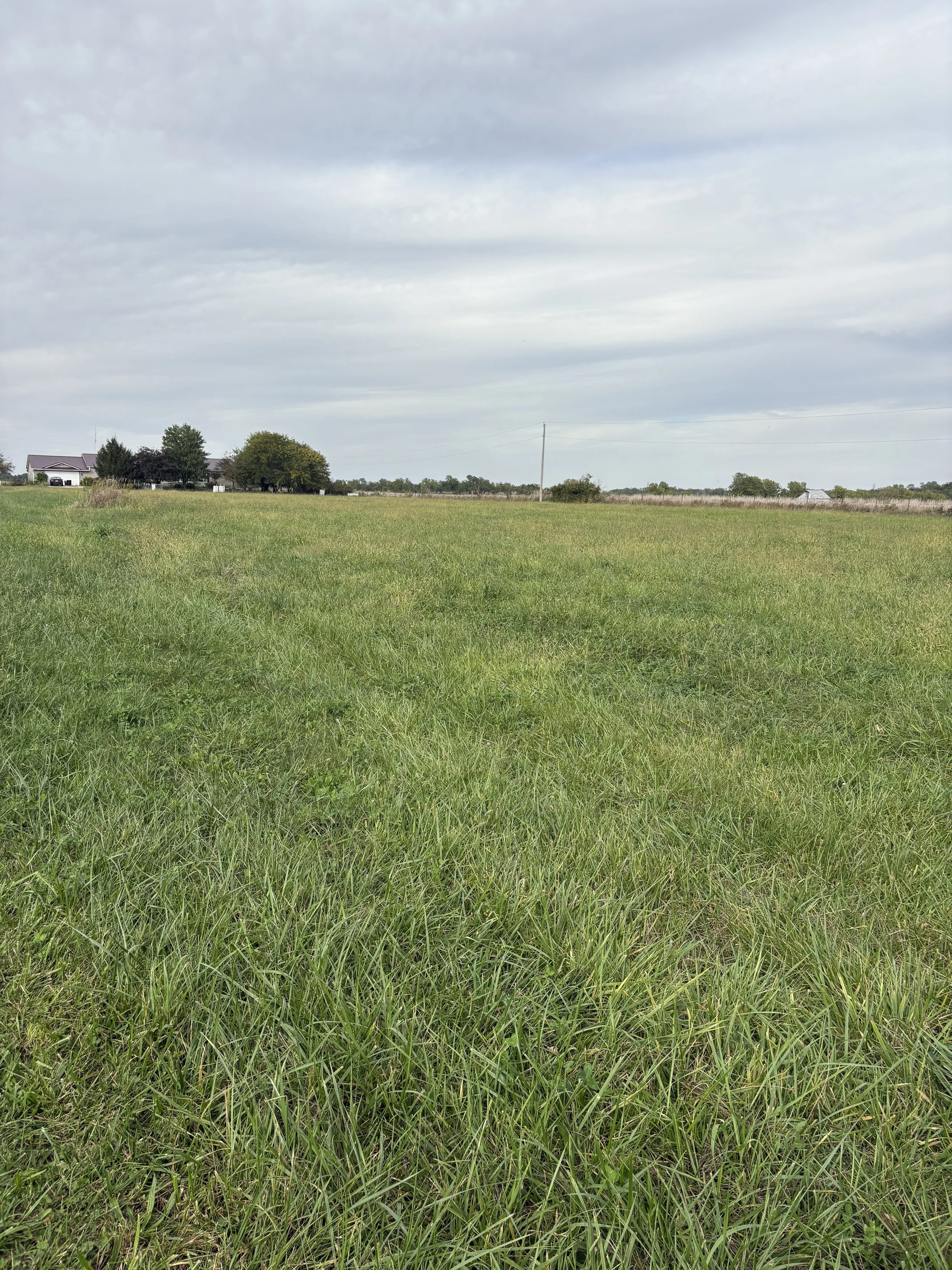 Lots 49, 50, & 51, Willow Lane