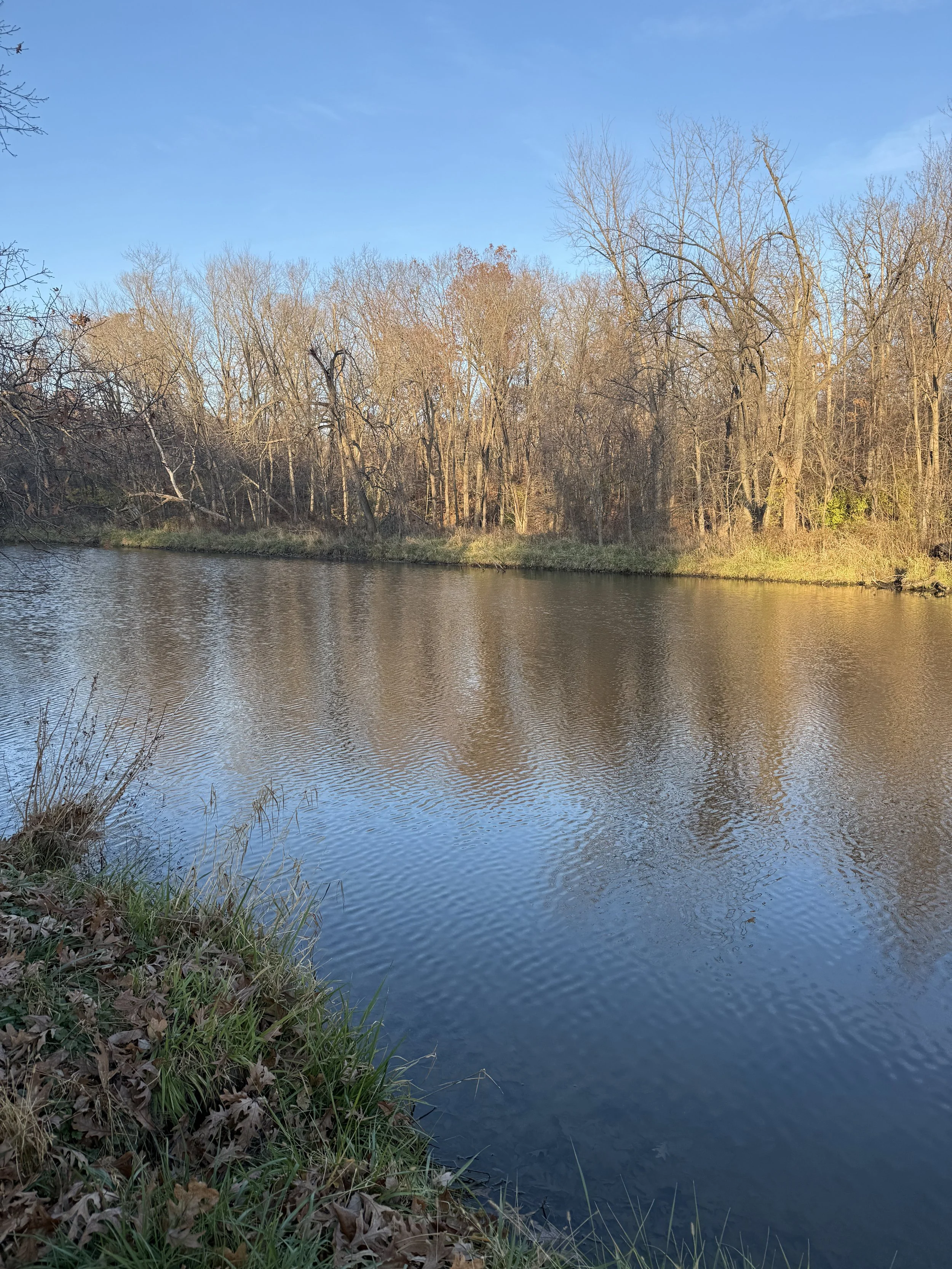 Why Buy Now in the Midwest Market (Illinois &amp; Iowa Edition)