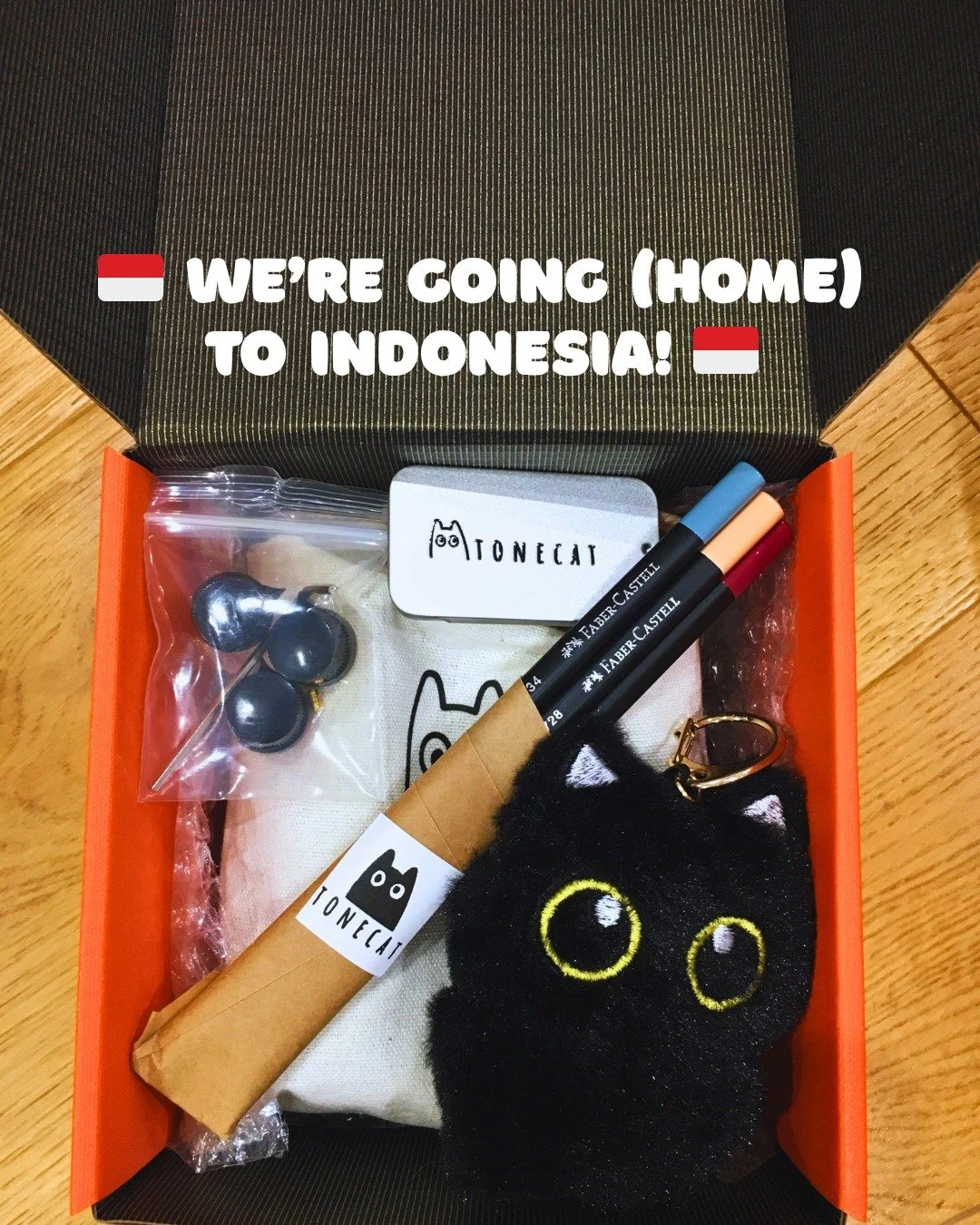 🇮🇩 We&rsquo;re going to Indonesia! 🇮🇩

As someone who was born and raised in Indonesia, it&rsquo;s an honour to bring TONECAT to the Indonesia &mdash; connecting with the incredible community of talented musicians and makers back home. 🇮🇩✨

We&