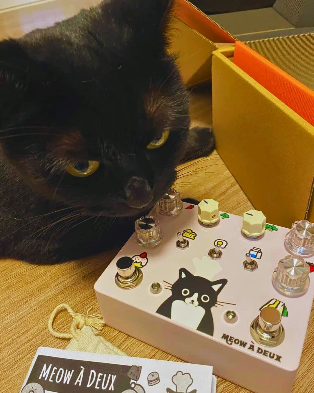 🐾 @meowvin.gid &rsquo;s Meow &Agrave; Deux &mdash; now featuring his drive-loving buddy! 🎸✨

Couldn&rsquo;t be happier seeing the Tonecat family stretch across the globe &mdash; all the way to Singapore! 🇸🇬❤️

Nothing makes us more proud than wat