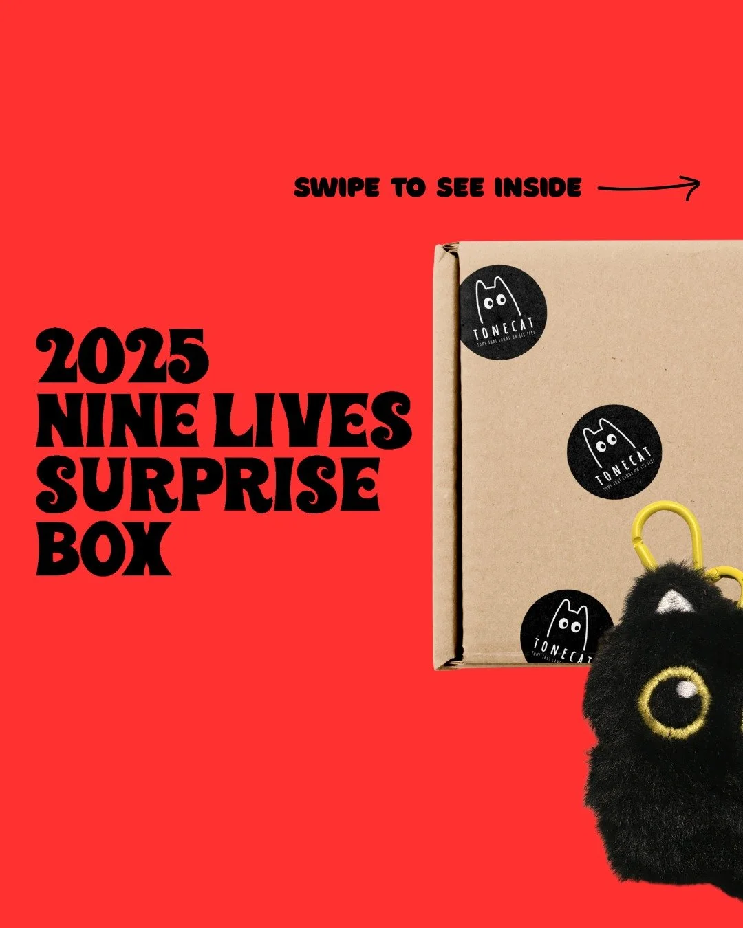 🎄 Tonecat Nine Lives Surprise Box &mdash; Christmas Special Edition - $279

Unbox a little holiday magic.

This Christmas, Tonecat is gifting you something truly special &mdash; a festive mystery box packed with joy, curiosity, and serious tone. The