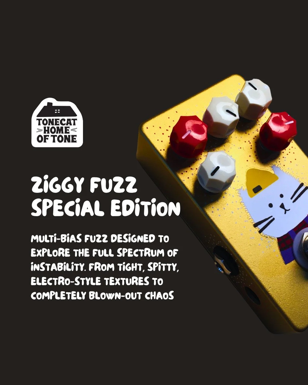 Ziggy isn&rsquo;t here to behave.

A multi-bias fuzz built to explore the edges of instability &mdash; from tight, spitty electro textures to completely blown-out chaos. It rewards curiosity, but really comes alive when you push it too far.

Multiple