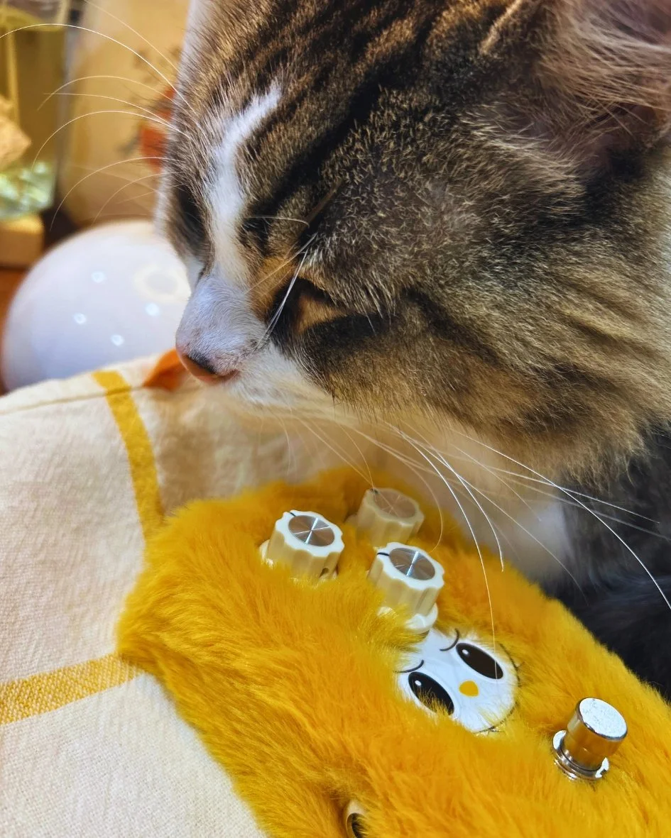 A close-up of Jiji - sniffing a yellow plush TONECAT Monter Series Fuzz