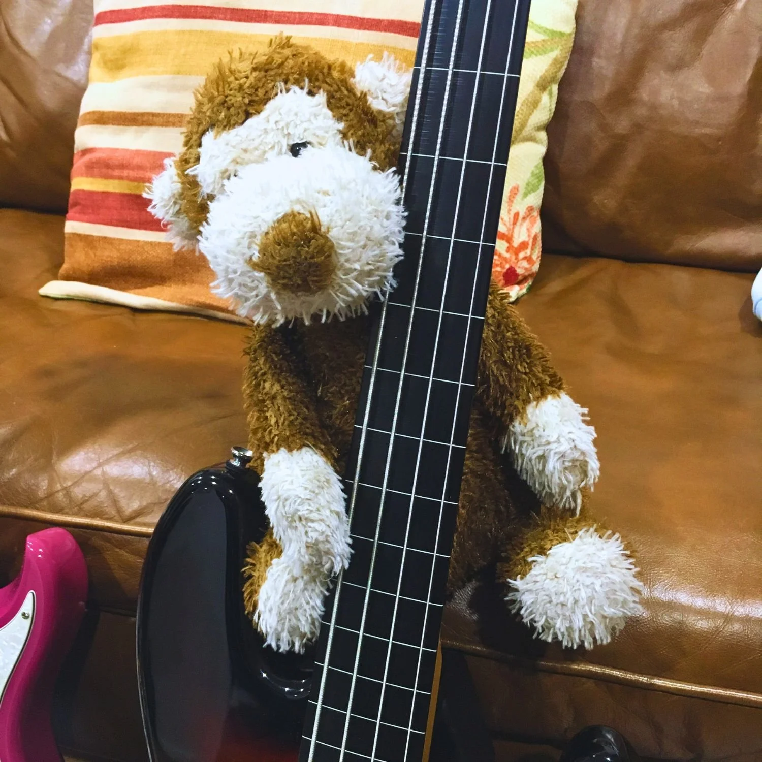 Our resident basist in tonecat workshop