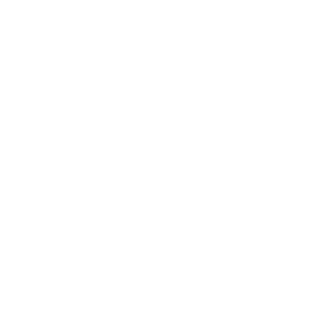 icon - we build your pedal