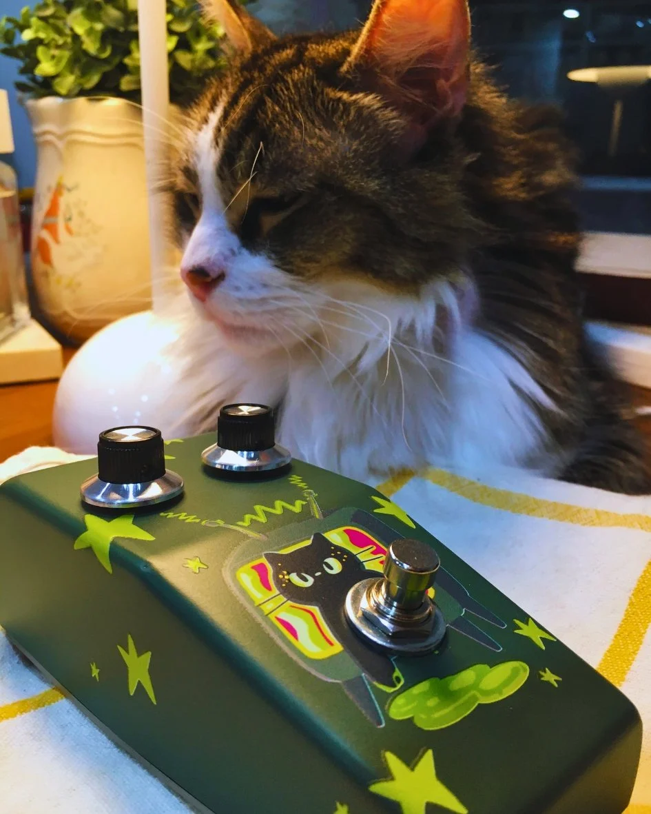 A furry companion keeping watch in the TONECAT handmade guitar pedal workshop.
 Copy alt text