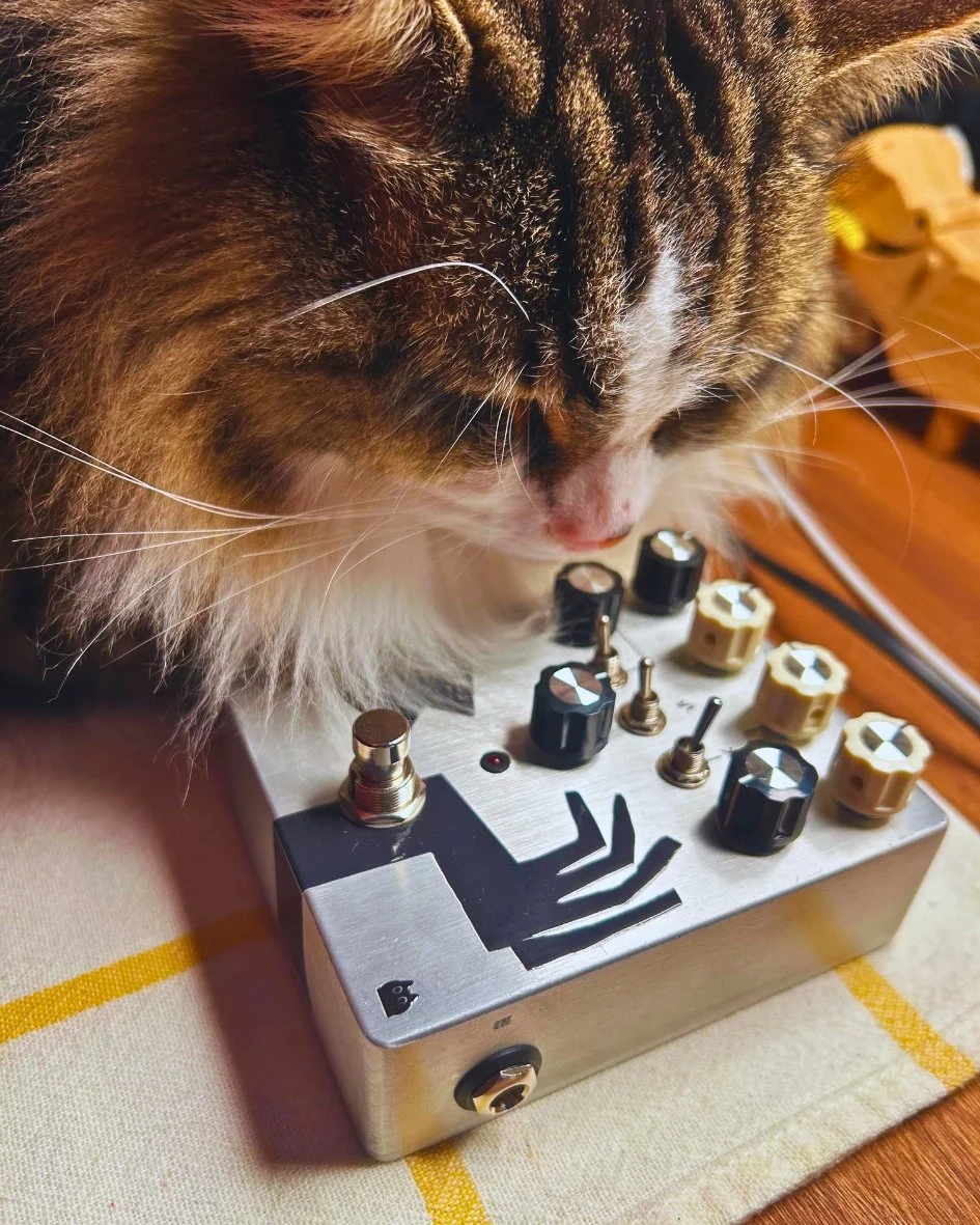 JIJI, TONECAT's gentle family cat, relaxing at home next to Vanishing tail PLL Fuzz Pedal