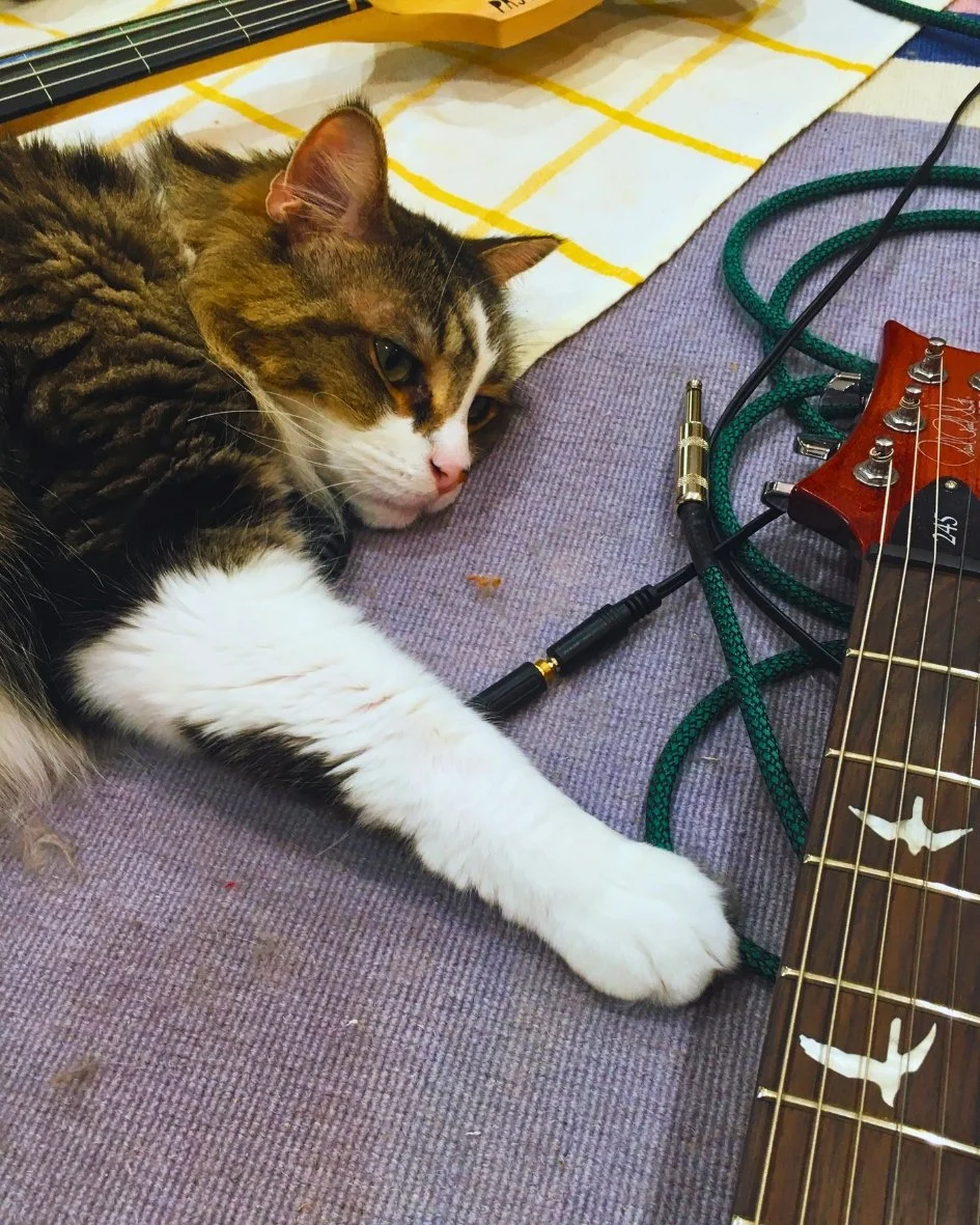 TONECAT's Jiji - A tabby and white cat lying on a purple cloth next to a guitar and some cables.