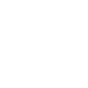 icon - we shape the custom design