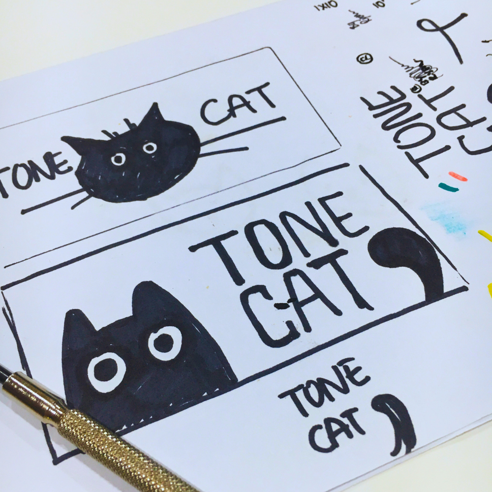 The original concept of TONECAT brand