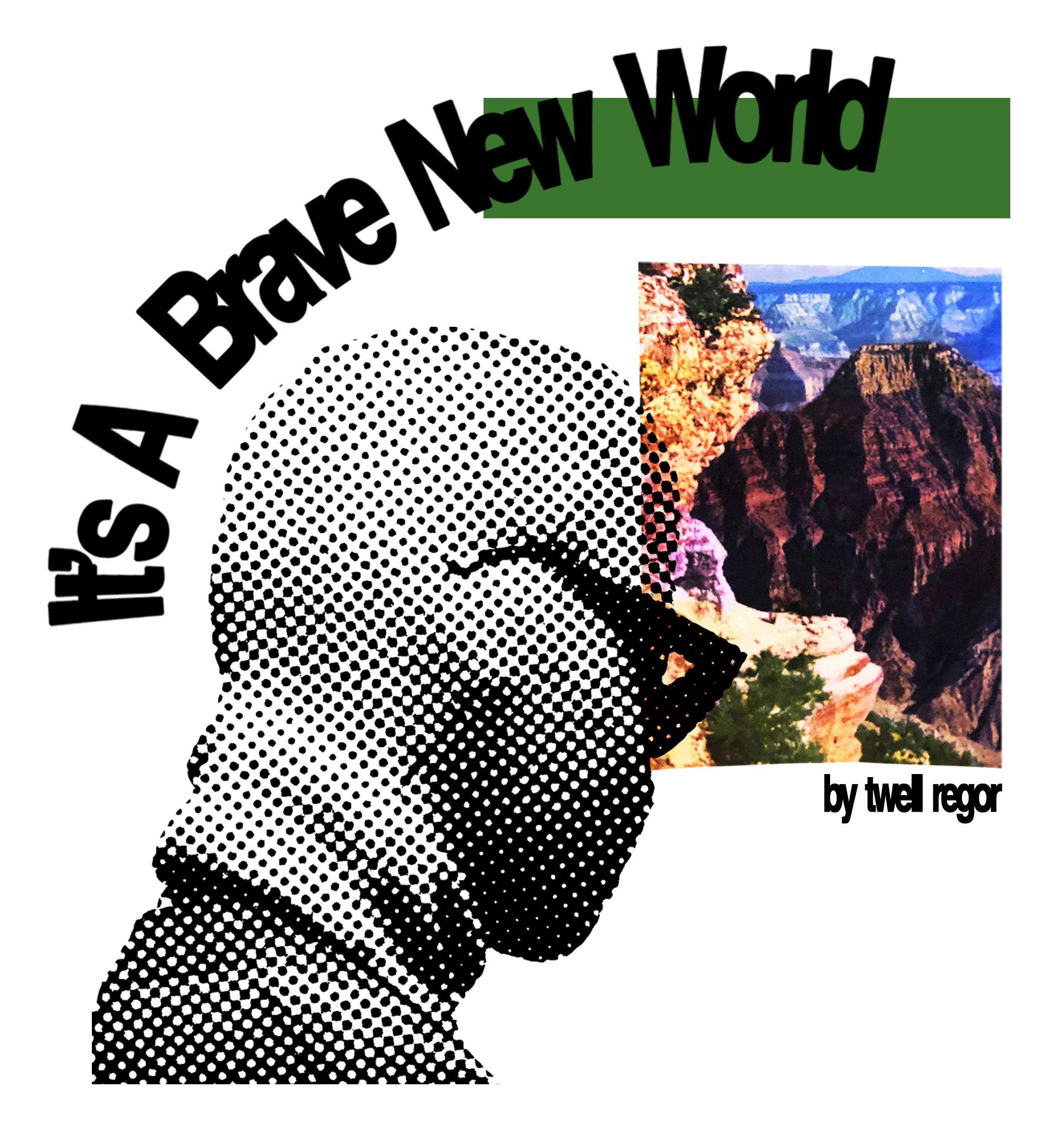 BNW shirt graphic.png
