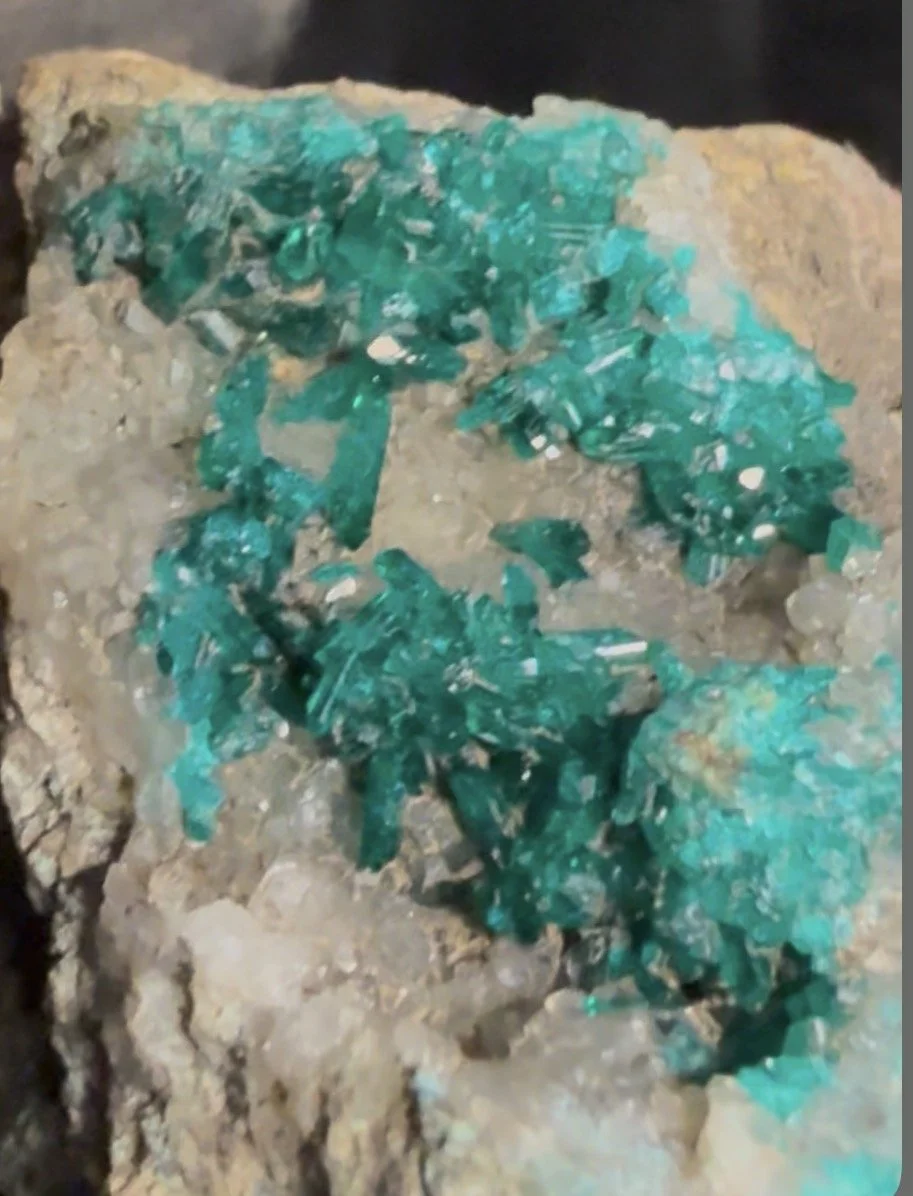Dioptase mineral specimen featuring vibrant blue-green crystalline formations on a rough, grayish rock matrix.