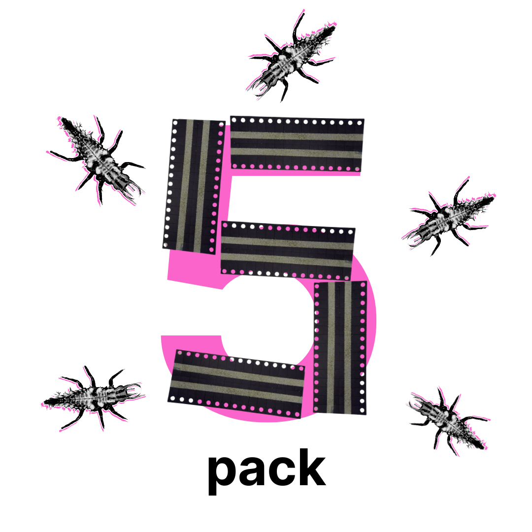 LWCD-5PK.png