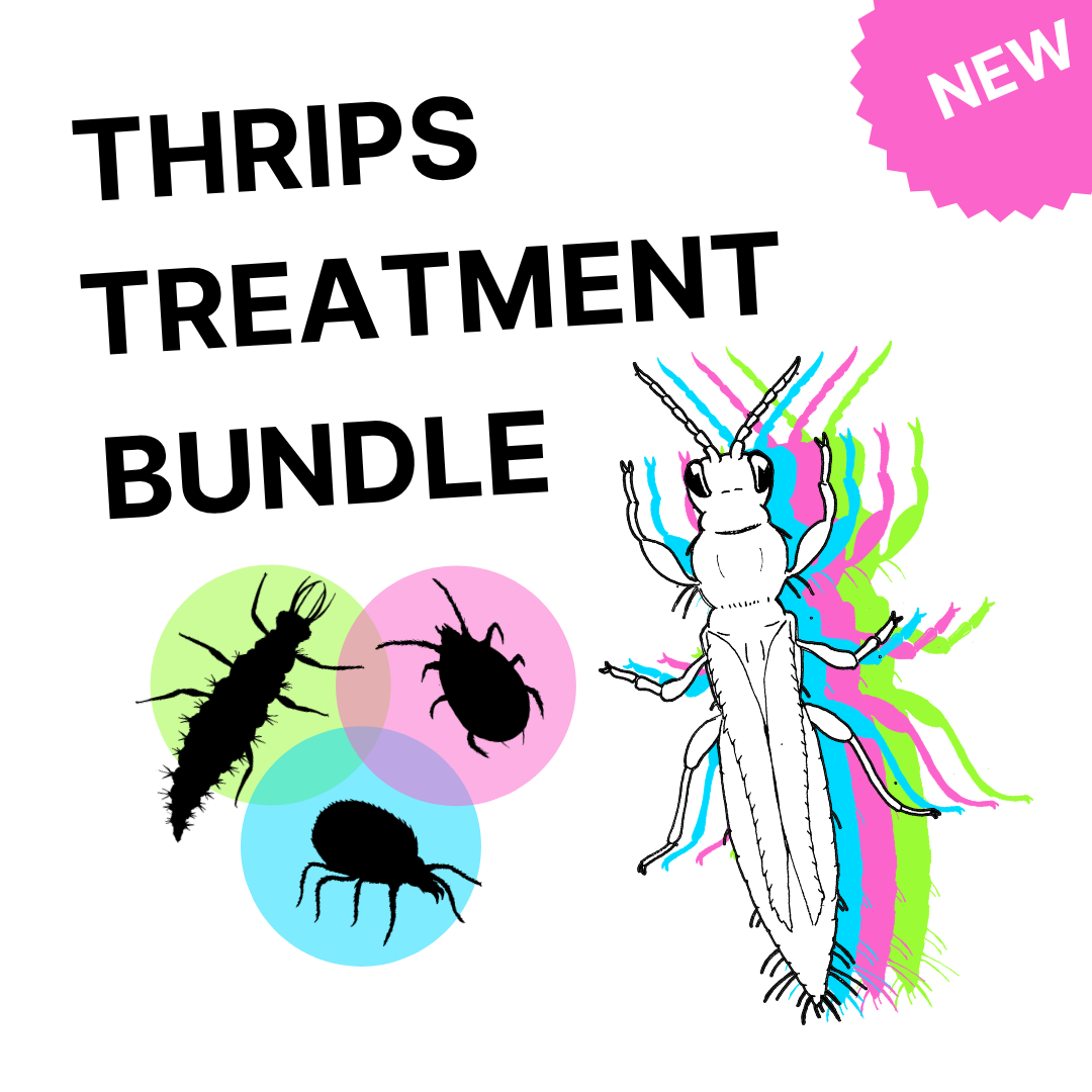 thrips_treatment_trifecta (2).png