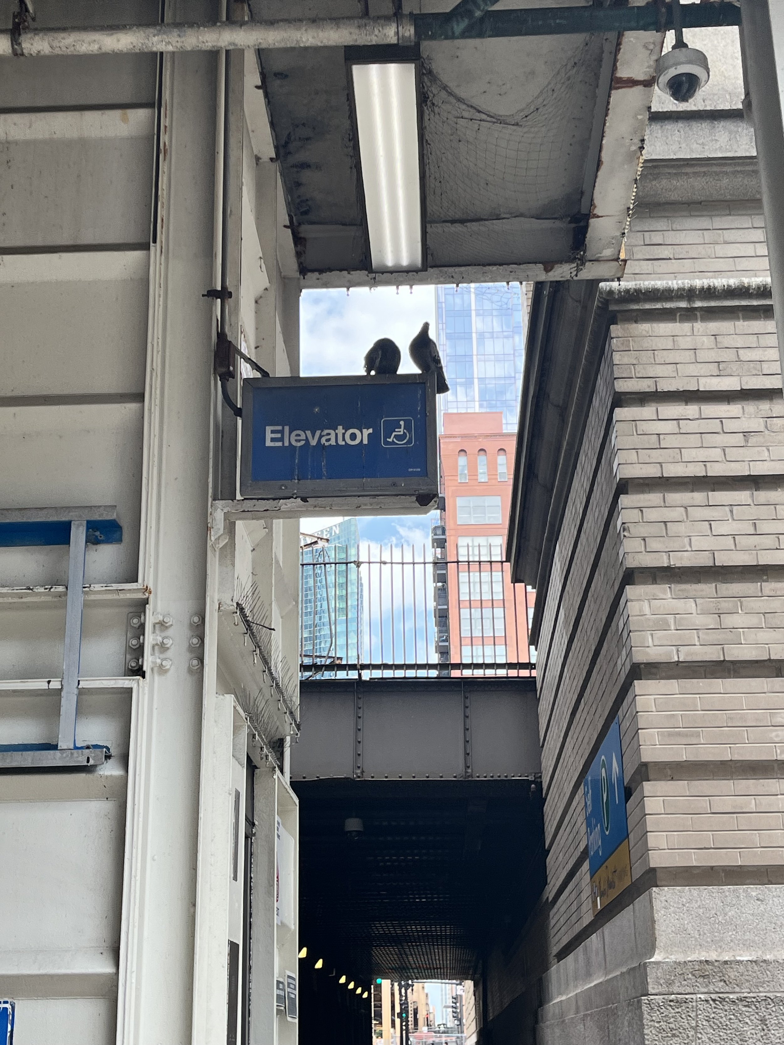 IMG_3339.jpeg