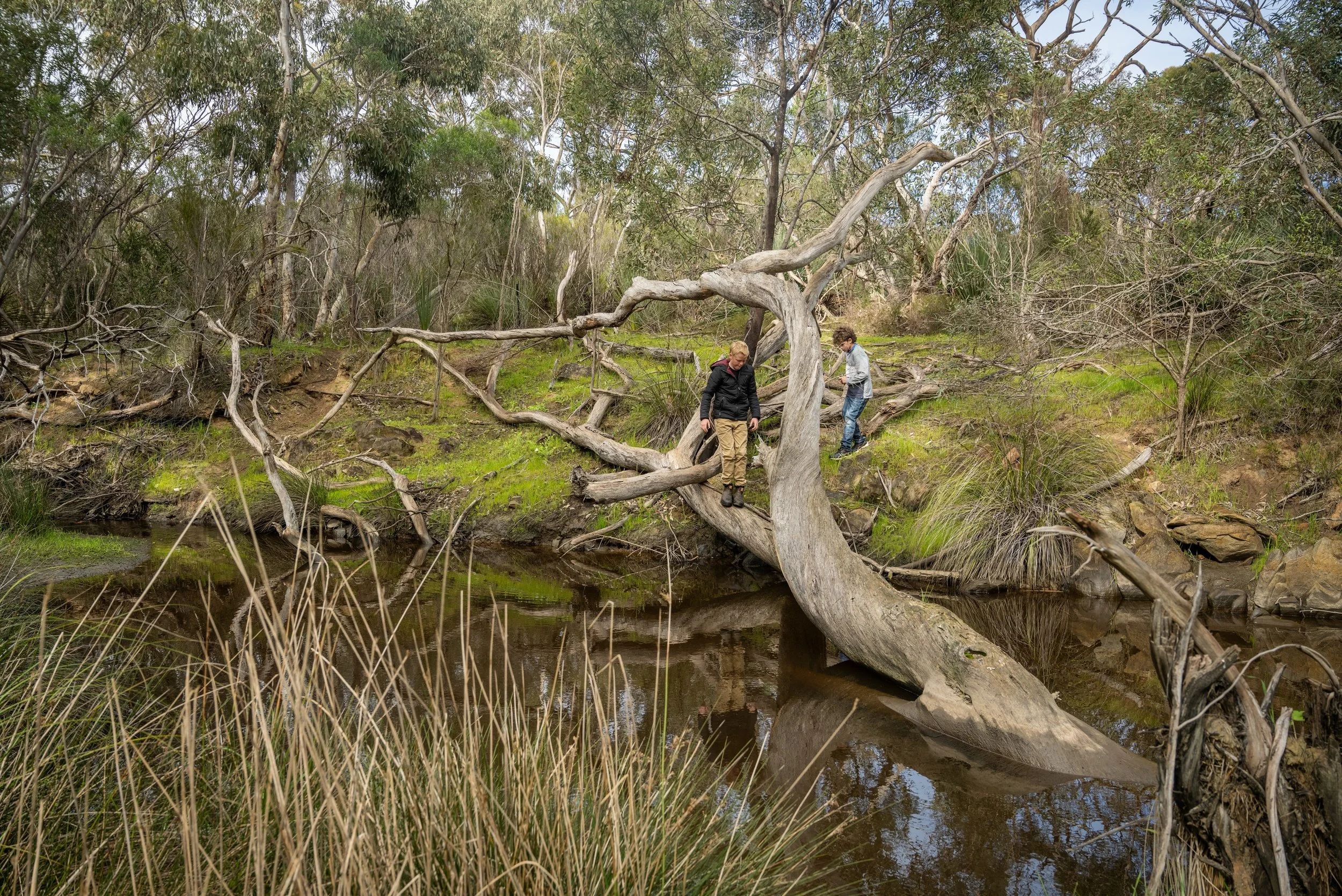 Discover the magic of Kangaroo Island this winter 🍃✨

Escape to Eleanor Downs and explore the beautiful creeks flowing through the property after the winter rains. Crisp mornings, peaceful walks, and nature at its best await.

Book your winter stay:
