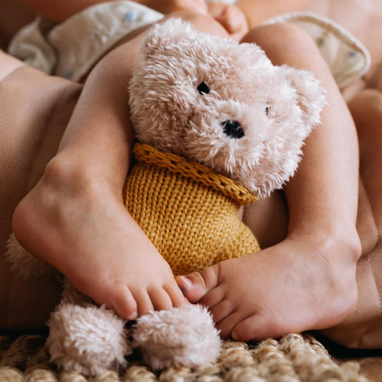 Dulcie Bear - and the little dog laughed