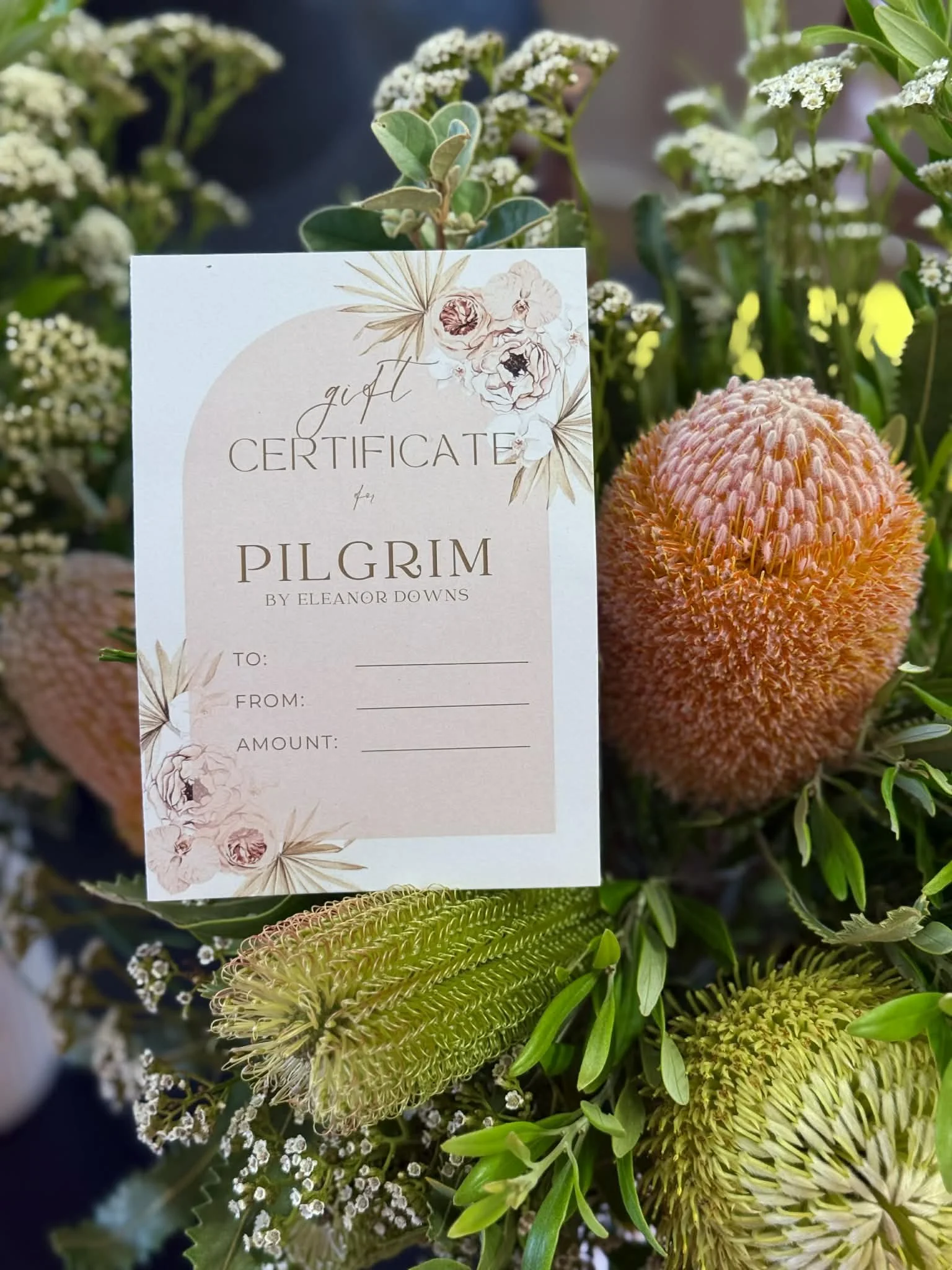 Pilgrim Gift Certificate