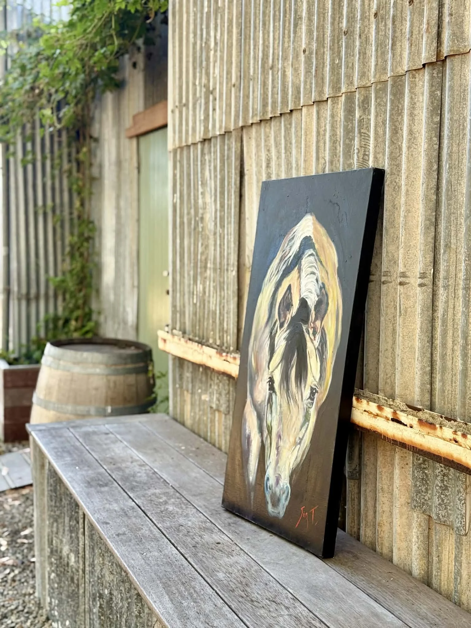 "Mojo - Equidae" By Suzanne Trethewey