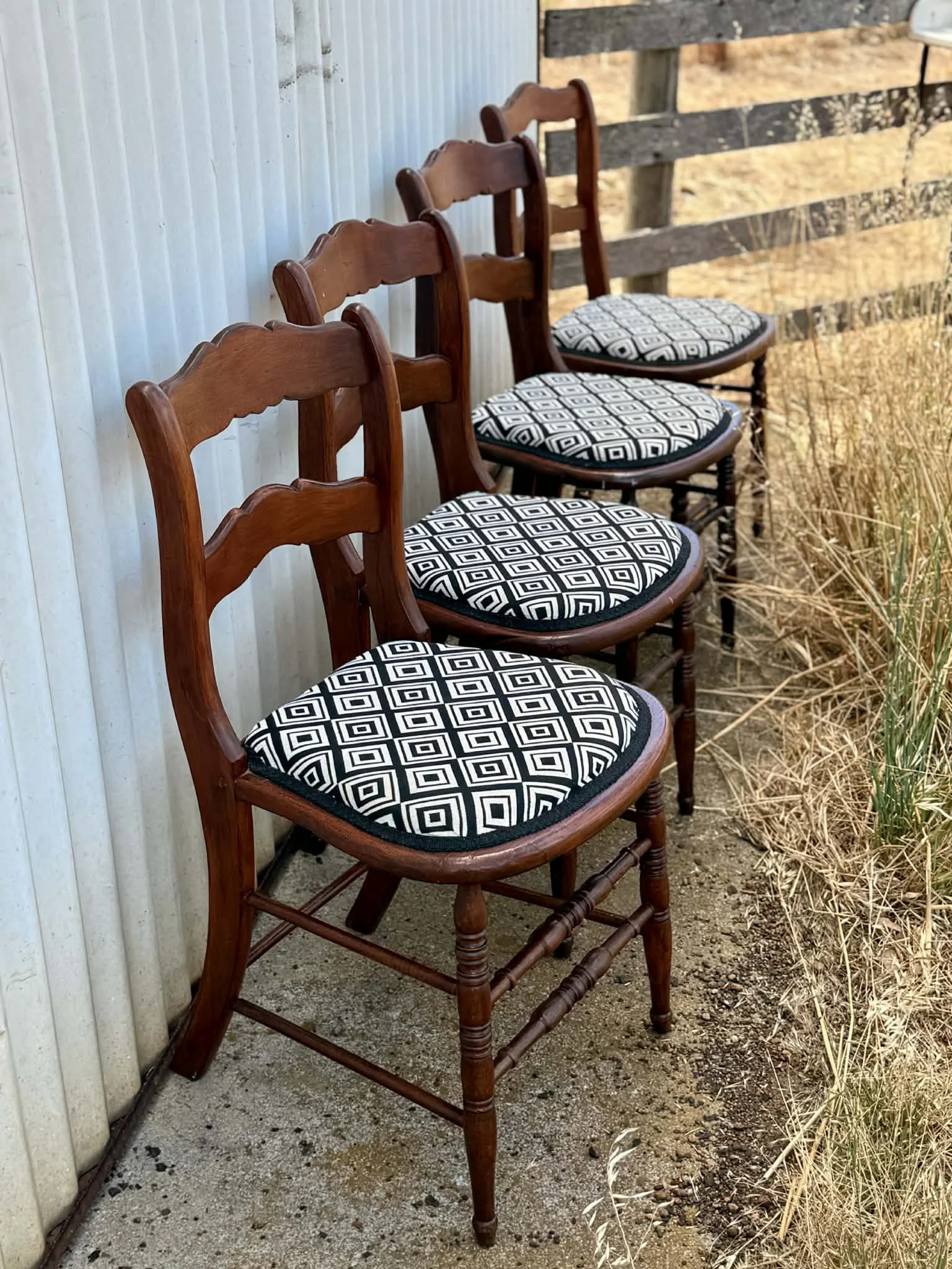 Dining Chairs