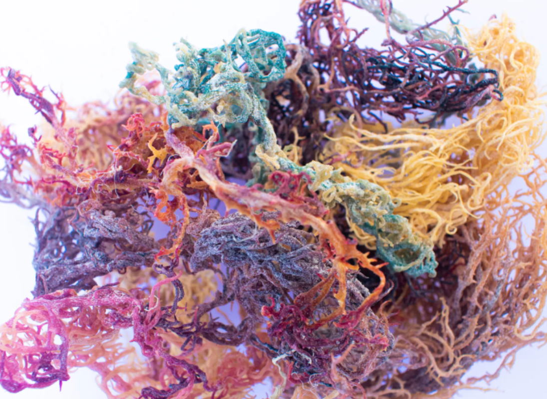 Untitled-2 (2).png