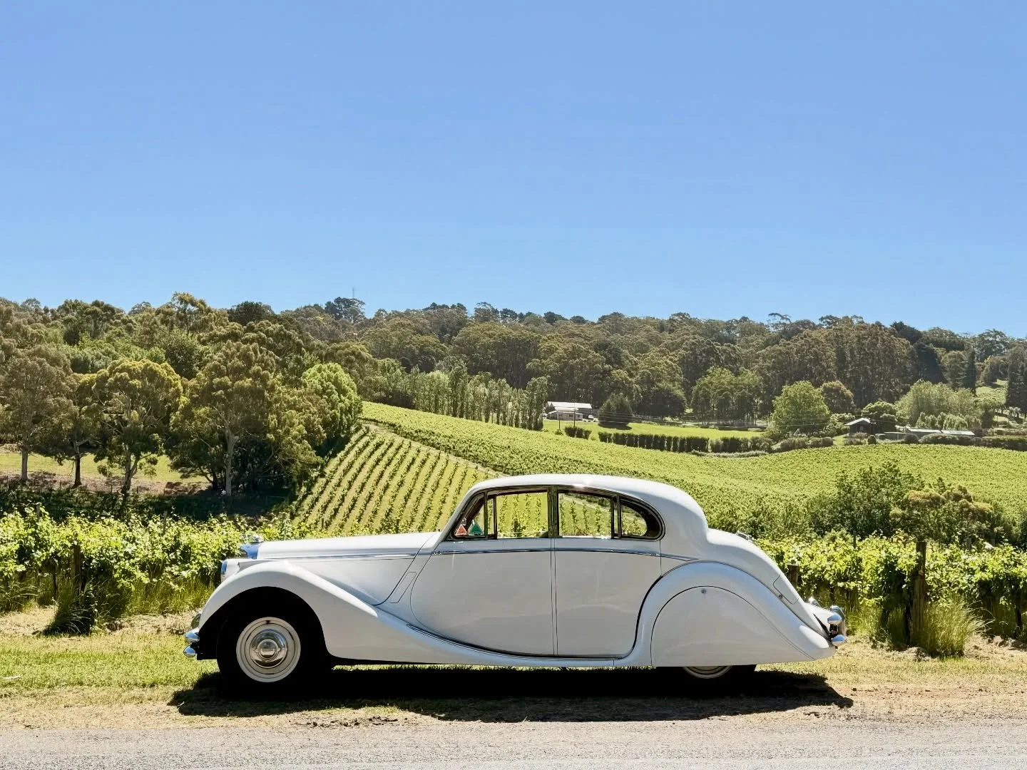 📍 Spotted in the Adelaide Hills!

Did you know that our classic vehicles do private wine tours?! 🍷🍇

Enjoy tastings at boutique Adelaide Hills wineries, along with lunch surrounded by stunning vineyard views and a dedicated private chauffeur 👨🏻&