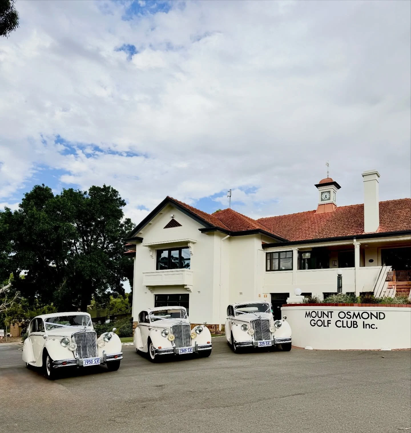 Our Three Matching Jaguar Mark V&rsquo;s spotted at Mount Osmond Golf Club! 📍

📆 Now taking bookings for 2026 &amp; 2027!

Book Australia&rsquo;s Award-Winning Number 1 Wedding Transport- Reserve Your Ride Now! 
🔗 Link In Bio 
📞 1300 889 998 | 📩