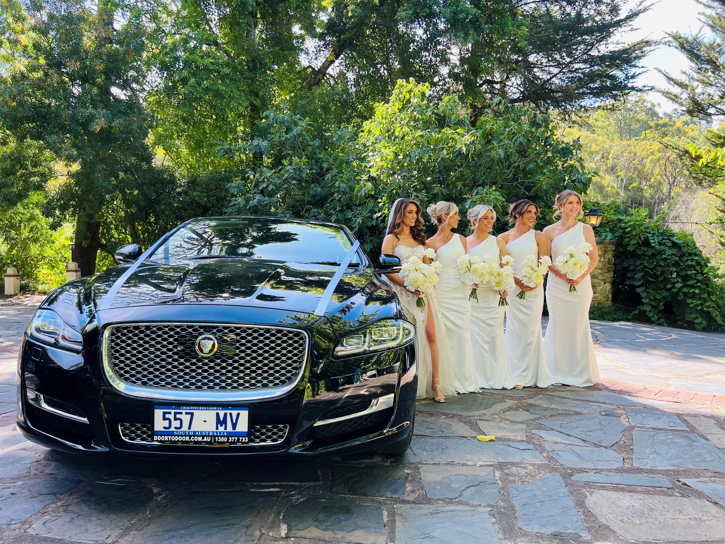 Jaguar 557MV BRIDAL.jpg