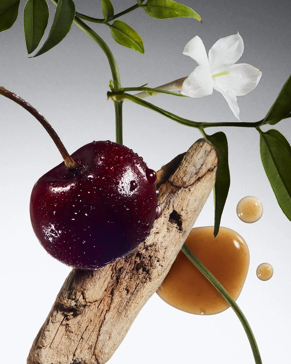 PHF_RG_24_DIGITAL_INGREDIENT_098_v3_CLNT_2x3.jpg