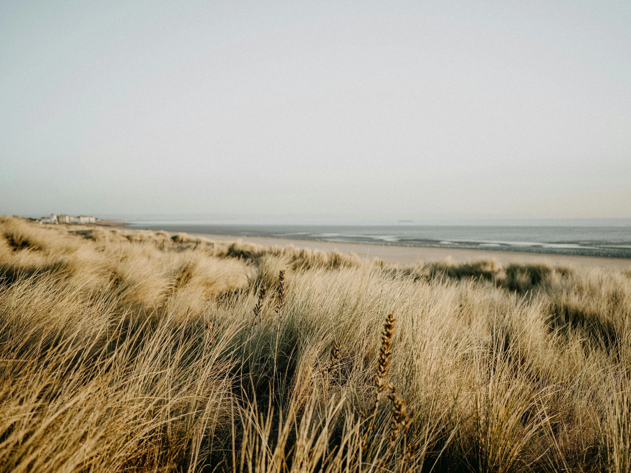 a view over beach grass to the water with a town in the far distance. This represents moving forward confidently even when you can't see the entire path. Supported by Intensive Therapy in Southwest Michigan