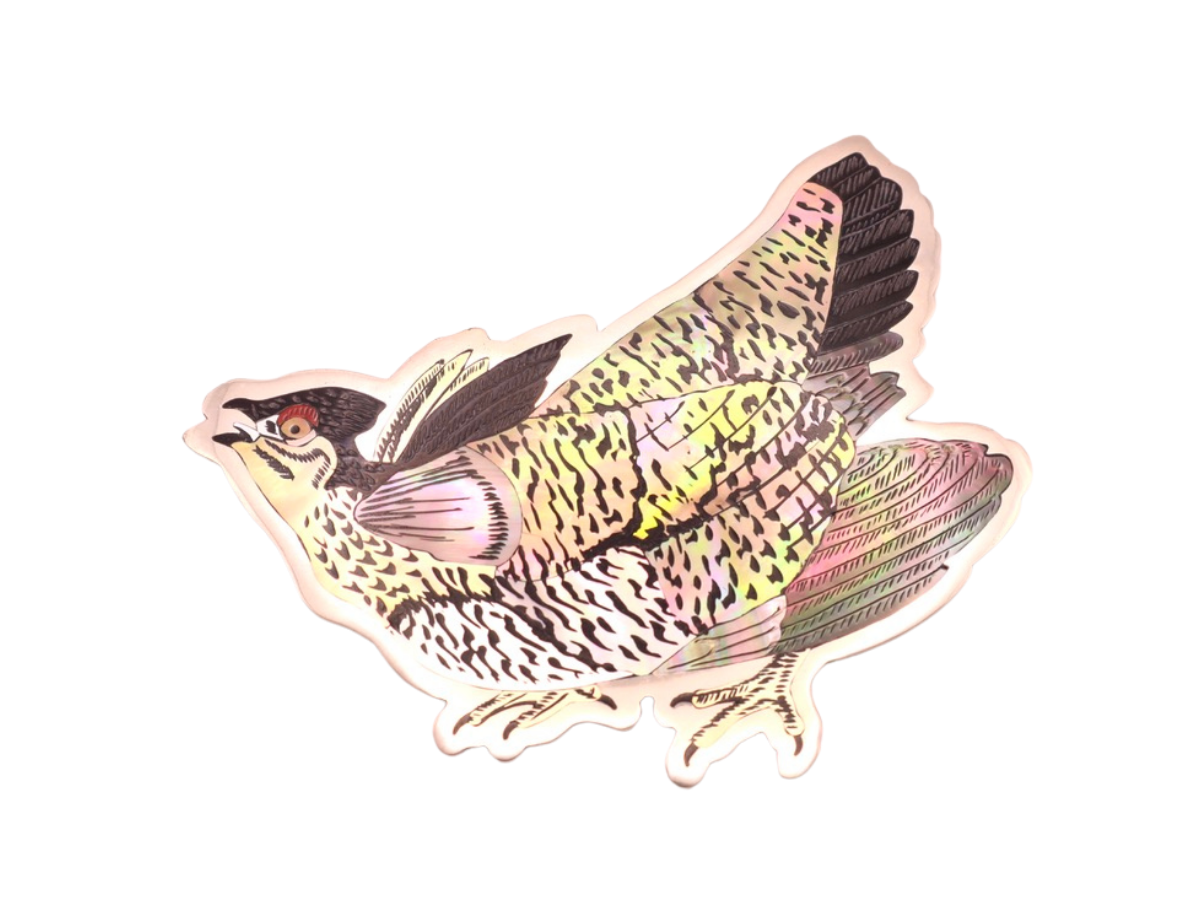 18.png