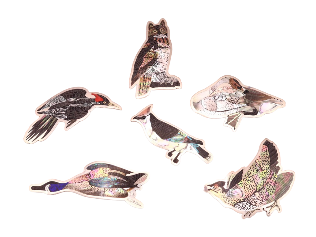 Dale Edaakie Set of 6 Bird Pins