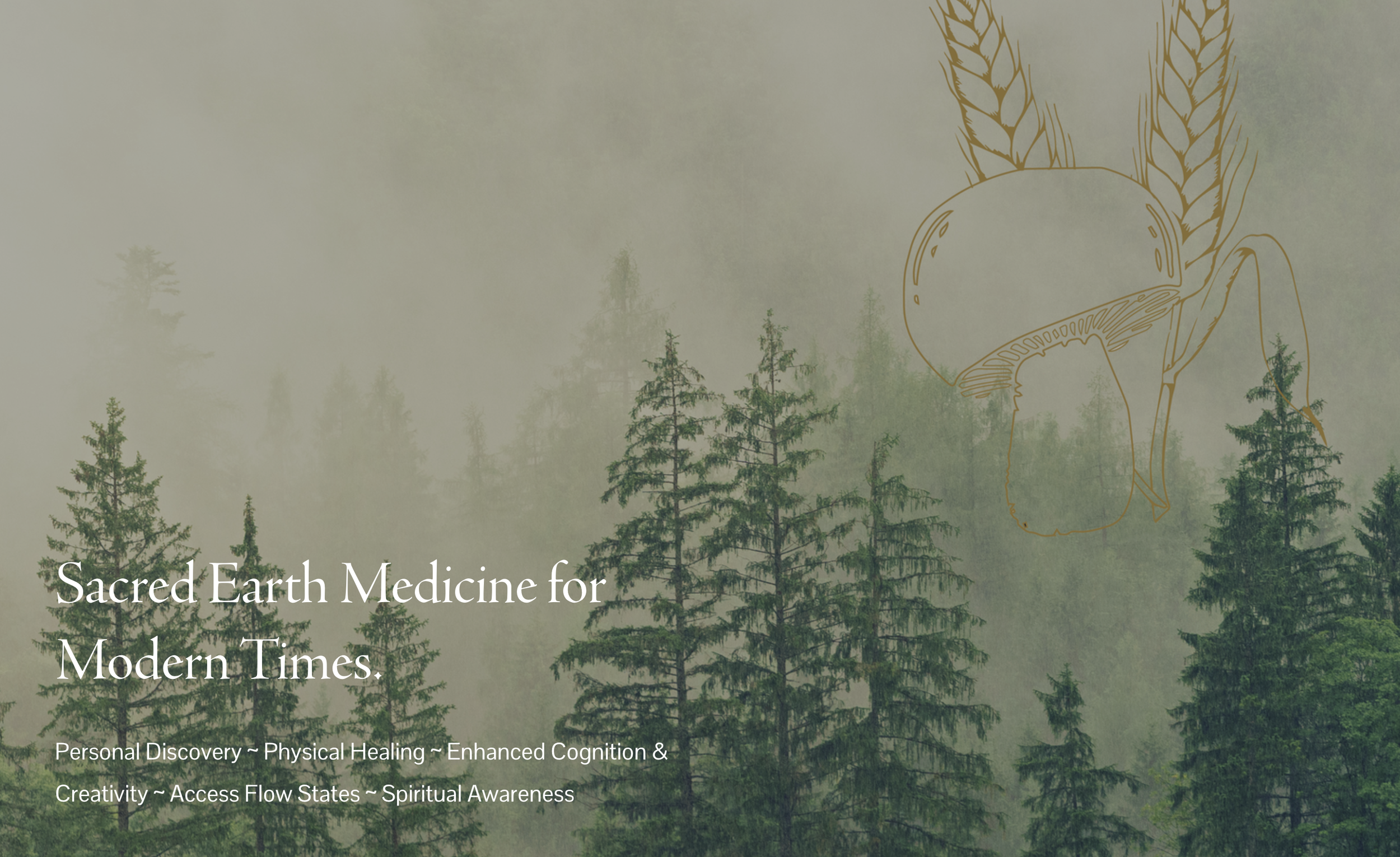 Entrepreneur Session: Kayse Gehret