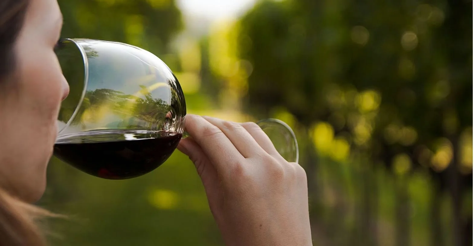 Wine-Spectator-Woman-Drinking.JPG