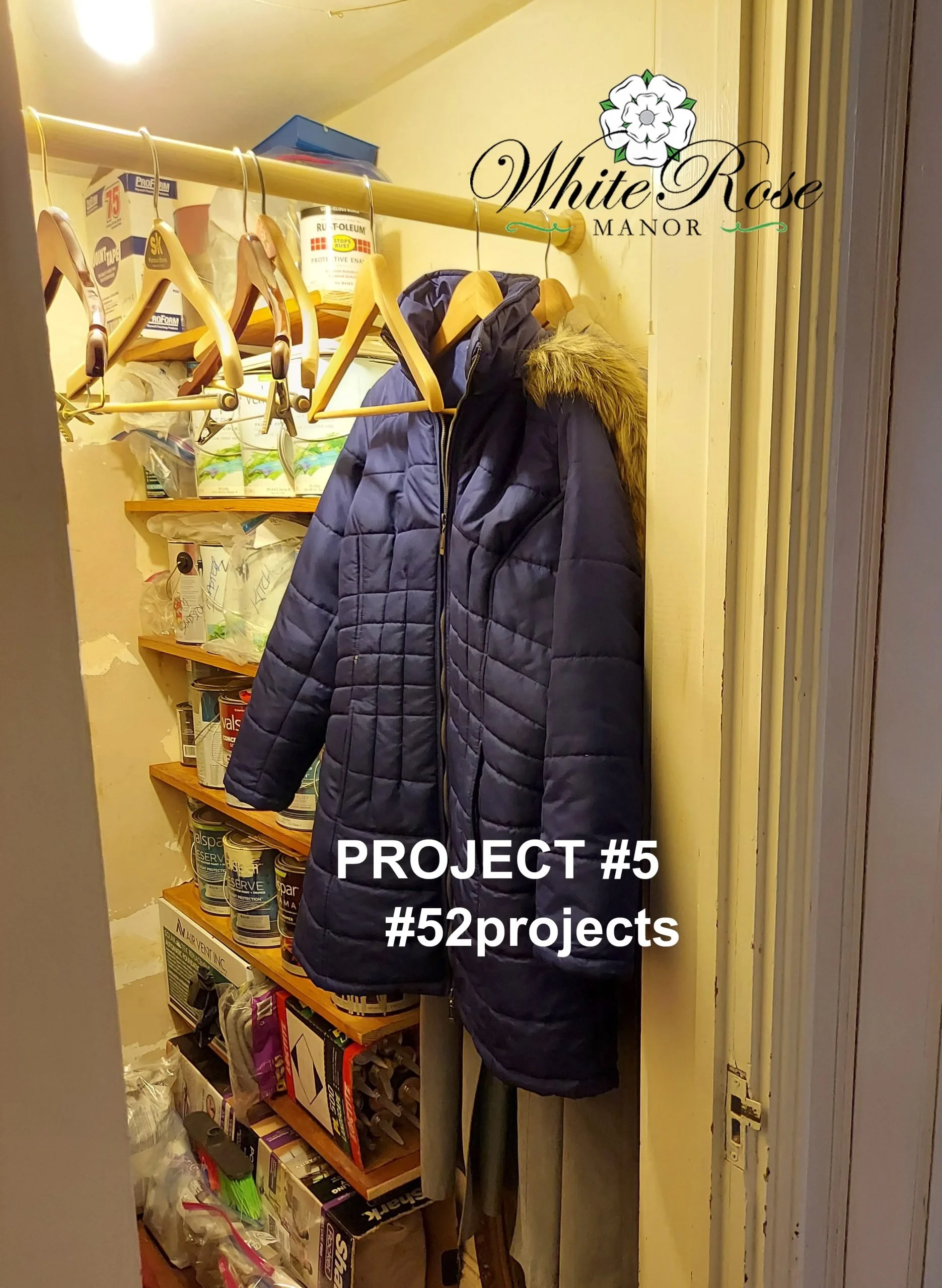 Project #5
