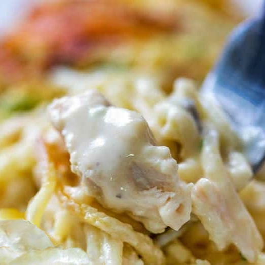RECIPE: Family Turkey Tetrazzini