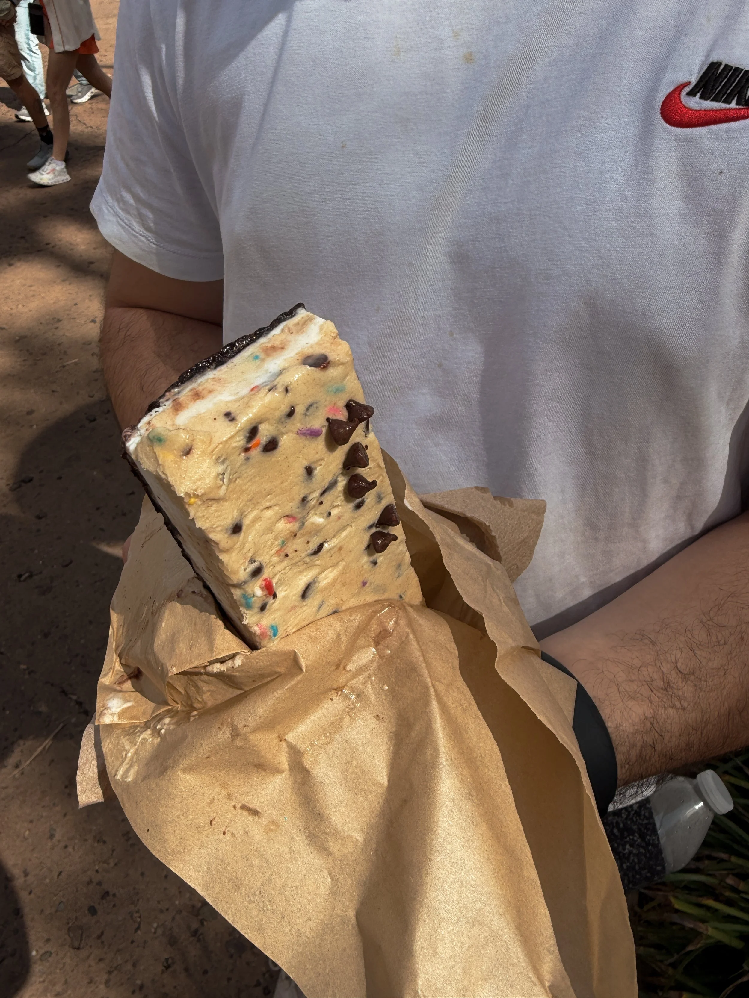 AK ice cream sandwich.JPG