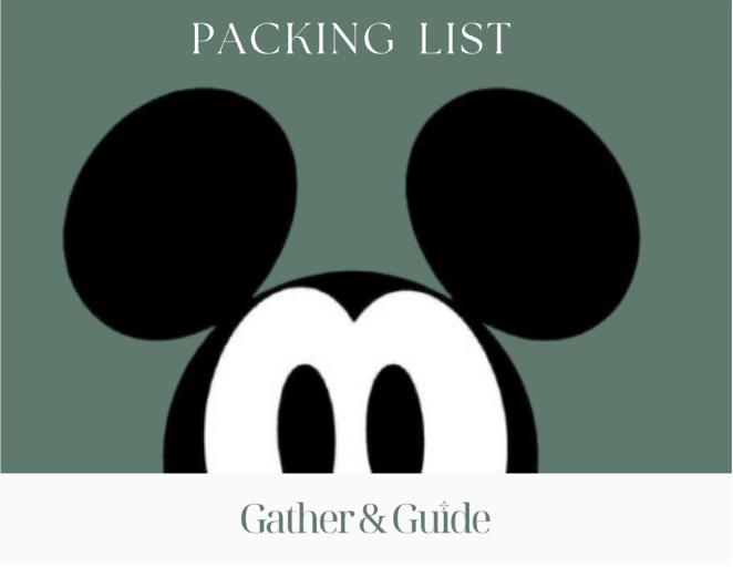Disney World Packing List
