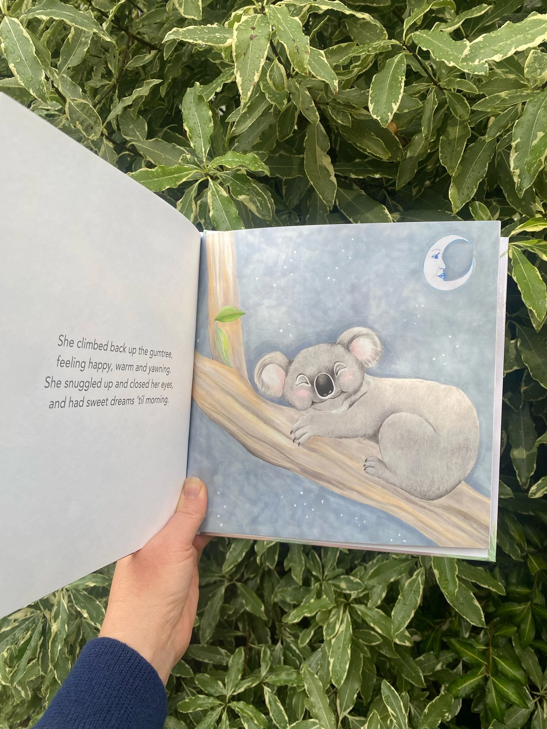 Illustration of Kaz the koala sleeping in a gumtree from Once Upon a Gumtree