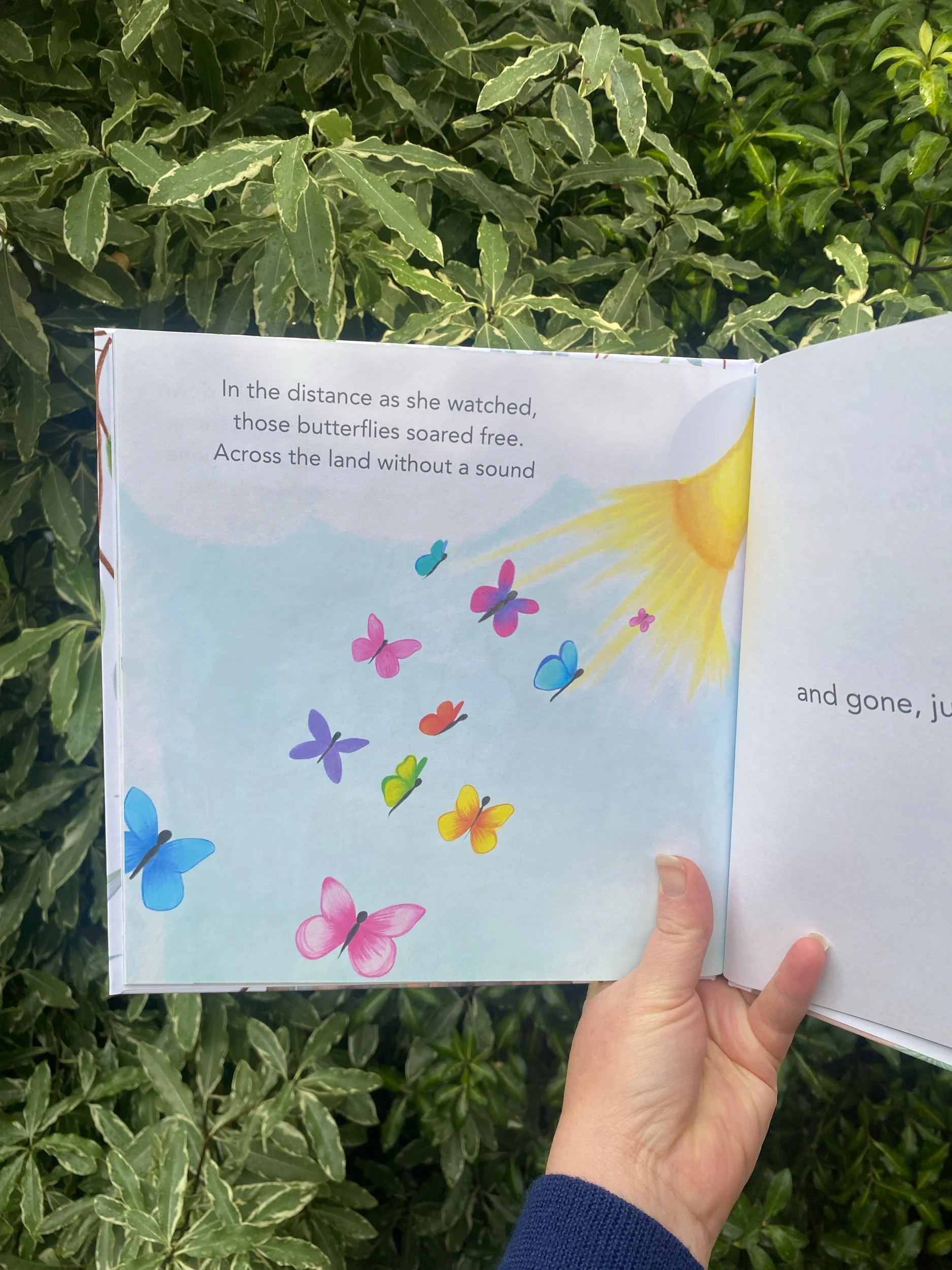 Illustrated butterflies from a page inside Once Upon a Gumtree.